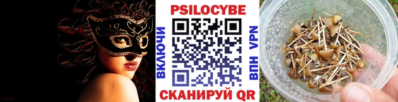 Псилоцибиновые грибы Cubensis  кракен как войти  Туапсе 