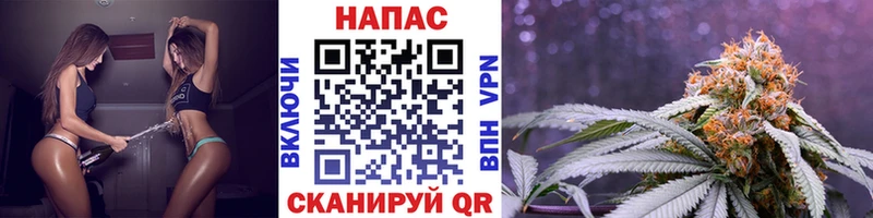 нарко площадка официальный сайт  mega вход  Туапсе  что такое наркотик  Бошки марихуана тримм 